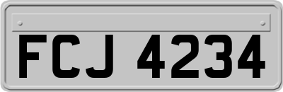 FCJ4234
