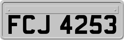 FCJ4253