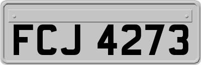 FCJ4273