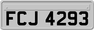 FCJ4293
