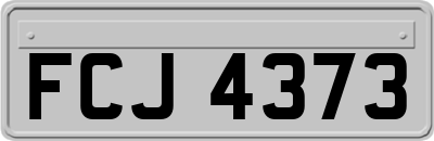 FCJ4373