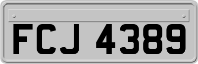 FCJ4389