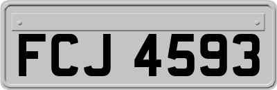 FCJ4593