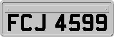 FCJ4599