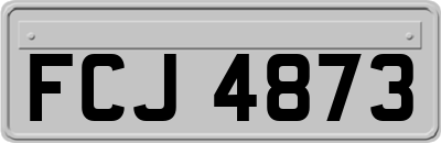 FCJ4873
