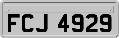 FCJ4929