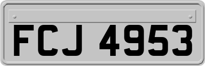 FCJ4953