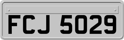 FCJ5029