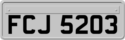 FCJ5203