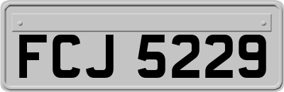 FCJ5229