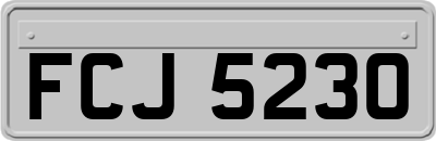 FCJ5230
