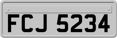 FCJ5234