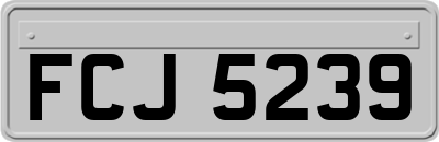 FCJ5239