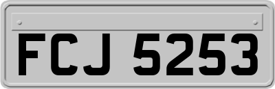 FCJ5253