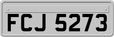 FCJ5273