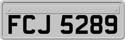 FCJ5289