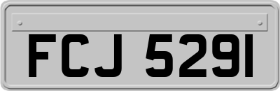 FCJ5291