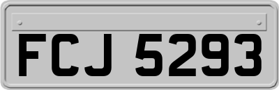 FCJ5293