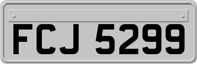 FCJ5299