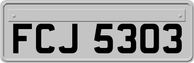 FCJ5303