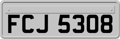 FCJ5308