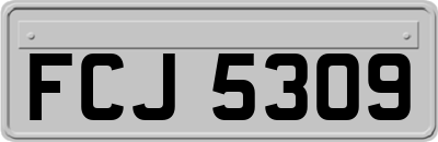 FCJ5309
