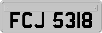 FCJ5318