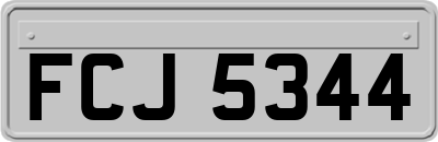 FCJ5344