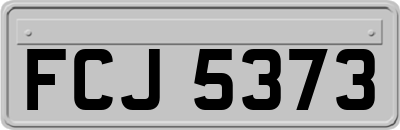 FCJ5373