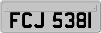 FCJ5381