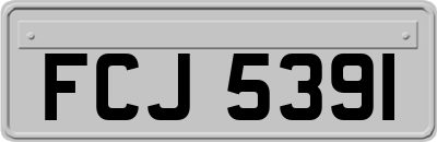 FCJ5391