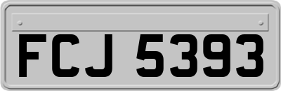 FCJ5393