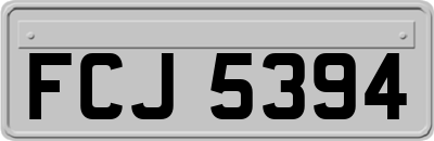 FCJ5394