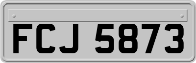 FCJ5873