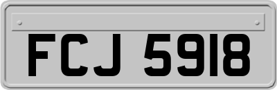 FCJ5918