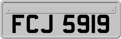 FCJ5919