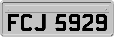 FCJ5929