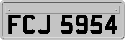FCJ5954
