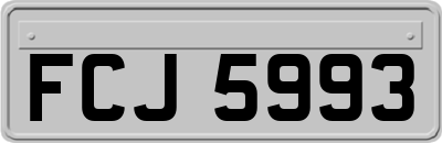 FCJ5993