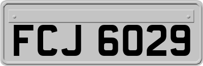 FCJ6029