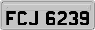 FCJ6239