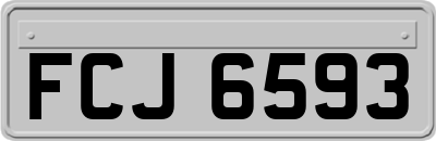 FCJ6593