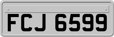 FCJ6599