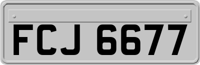 FCJ6677