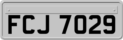 FCJ7029