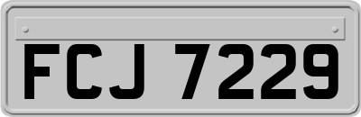 FCJ7229
