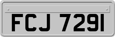 FCJ7291