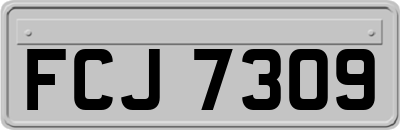 FCJ7309