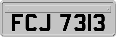 FCJ7313