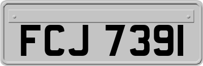 FCJ7391